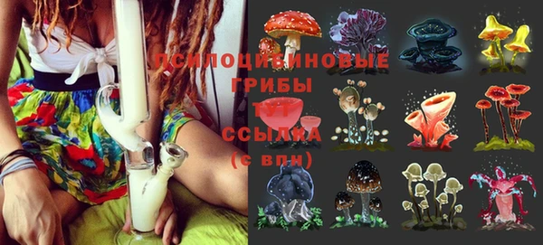дживик Алексеевка