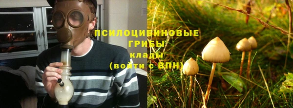 дживик Алексеевка